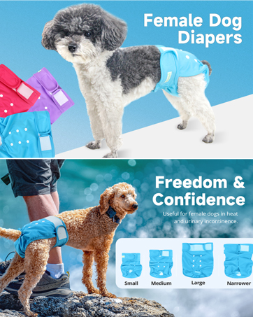 Female dog diaper