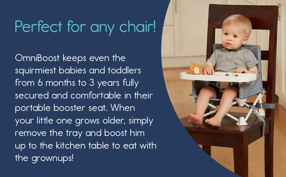 omniboost baby booster chair