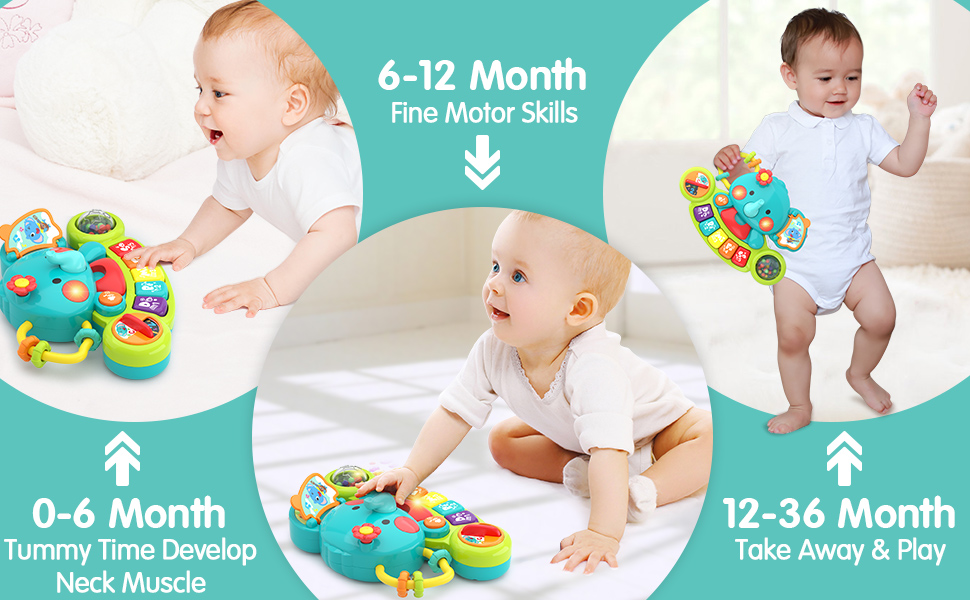 Baby Toys 6 to 12 Months