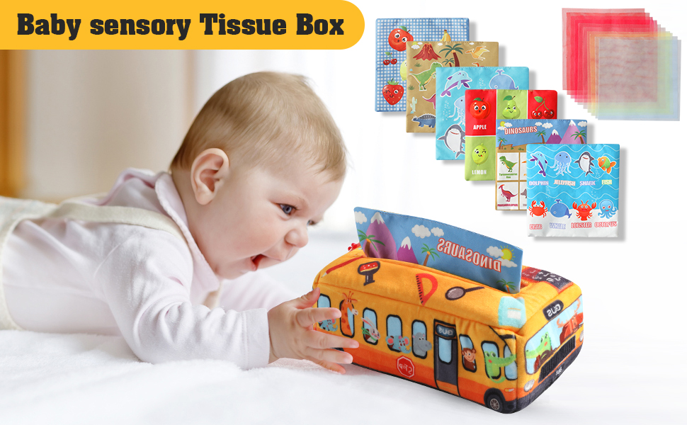 Tissue box toys